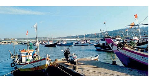 Matil Wale Breaks In Ratnagiri Fishing Ratnagiri Kokan Marathi News