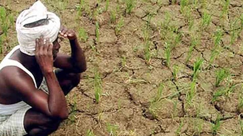 Drought