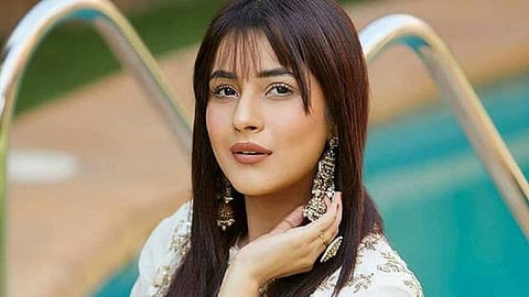 shehnaj gill