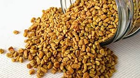 methi dana