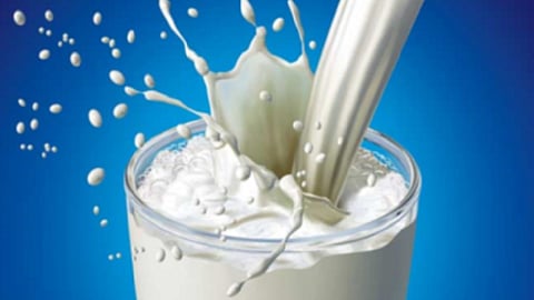 milk