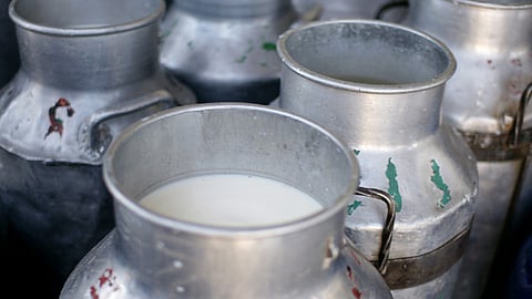 Crisis on milk business in the state