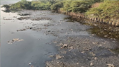 मैलापाणी थेट नदी-नाल्यांत; मुंबईत 76.94 टक्के मैलापाणीच प्रक्रिया केंद्रांपर्यंत