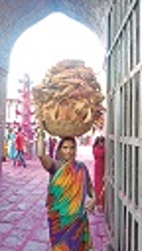 When is Small Business from Coconut Sheds?