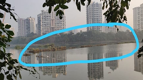 नेरूळमध्ये दिवसाढवळ्या घडला 'हा' प्रकार; पोलिसात तक्रार दाखल
