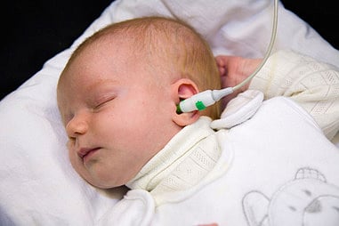 Two hundred birds are born every year with hearing impairment ... Read this because
