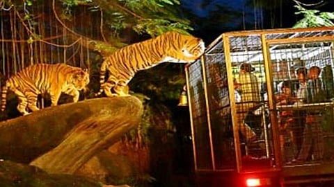 मुख्यमंत्र्यांच्या 'नाईट सफारी'ला केंद्राचा कोलदांडा?