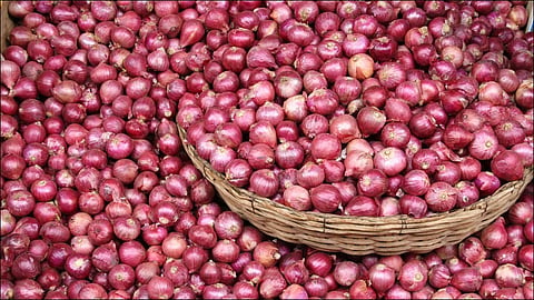 Onion prices regularly fall in Maharashtra