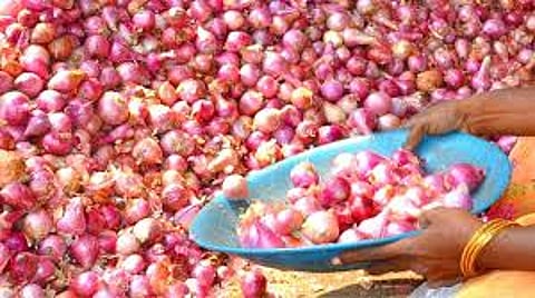onion