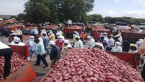 onion sale.jpg