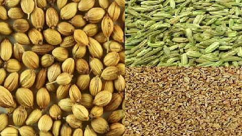 owa - Copy.jpg