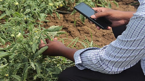Microsoft Baramati farming technology Establishment of Centre of Excellence on FarmVibes Organization of agricultural exhibition
