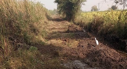 panand roads are damaged in jalalkheda of nagpur