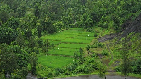 3000 millimeter rain register in ratnagiri
