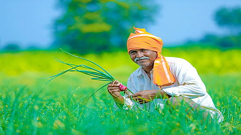 63 thousand farmers paid insurance on 34 thousand hectares