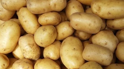 potato