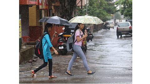 rain.jpg