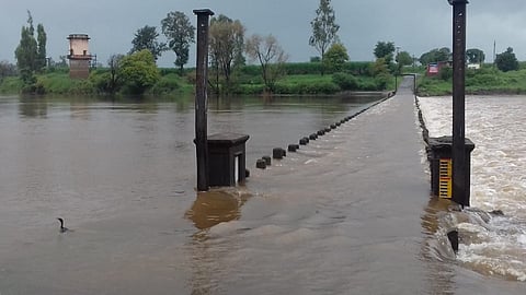 Rains continued yesterday and today in the kolhapur district Increase in water level of rivers in the district including Panchganga
