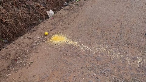 election start in konkan also but black magic incident in sawantwadi sindhudurg