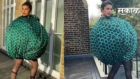actress Priyanka chopra shares her hilarious memes on twitter and Instagram actress says thank you for memers