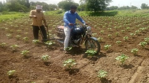 sakora photo 1.jpg