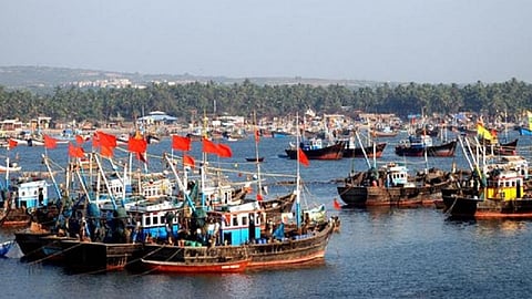 saranga fish helps to fisherman in konkan useful for daily sales in ratnagiri