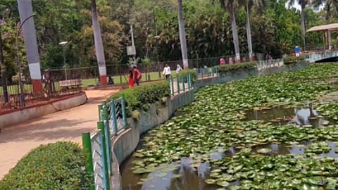 पुणे शहरात सारसबागेसह १२५ उद्याने बंदच;खुल्या असलेल्या बागांत नाताळ,थर्टी फर्स्टच्या कार्यक्रमांना मनाई