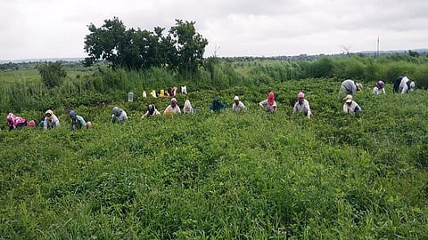 satgaon.jpg