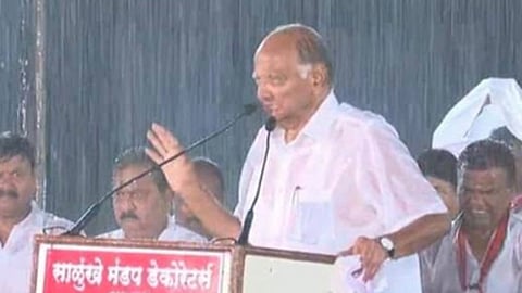 sharad-pawar