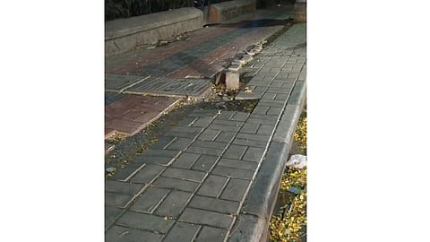 shastri-road.jpg