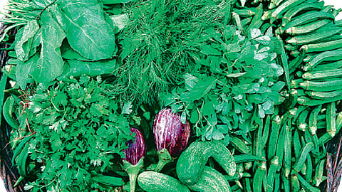 Marketing subsidy for transportation of agricultural commodities; sale of agricultural commodities in foreign markets