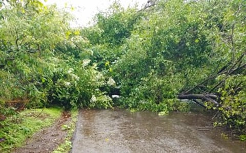 shirala rain.jpg