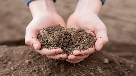 soil test 1.jpg