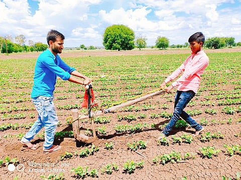 Corona closes schools colleges rural students on farms
