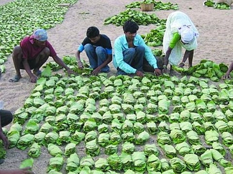 88 units sold of the tendu patta in state