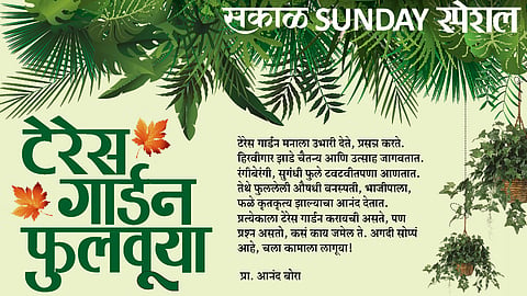 टेरेस गार्डन फुलवूया