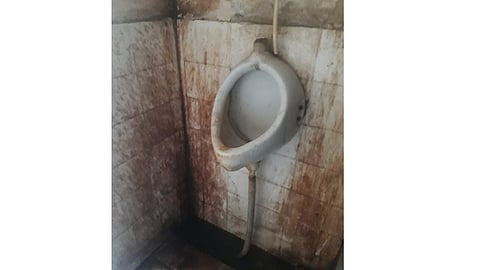 toilets.jpg