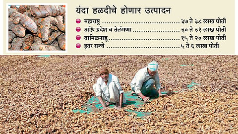देशातील हळद उत्पादनात वाढीची शक्यता