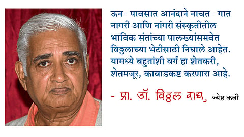 शेत करा रे... विठोबारायाचे।