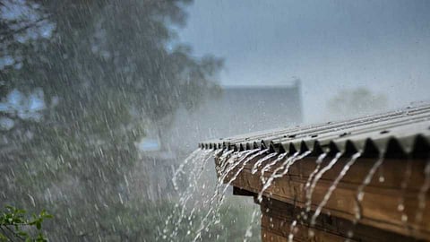 Rain Hailstorm Forcast In Marathwada