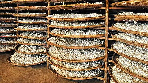 silk industry
