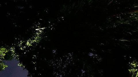 Hidden street light