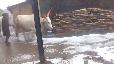 शिराळा पश्चिम भागात गारपीट (व्हिडिआे)