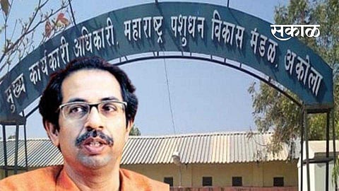 Akola News Livestock Development Board reaches Legislature!