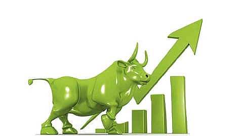 stock market has given double-digit returns in the past year
