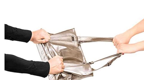 Thieves snatched elder woman bag in nashik