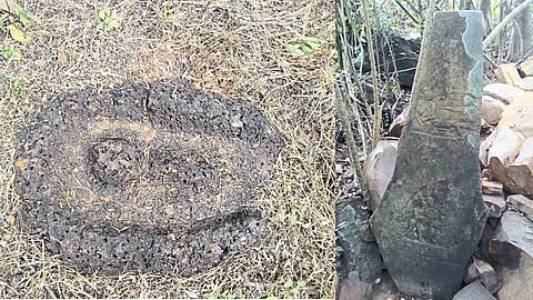 Malvan Panchayat Samiti Took Initiative For KatalShilpa Conservation Sindhudurg Marathi News