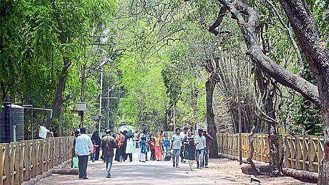 चला, समृद्ध करुया आमराई
