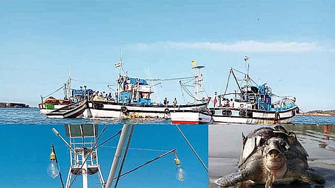 एलईडी पर्ससीनच्या विध्वंसकारी मासेमारीमुळे मत्स्योत्पादनात मोठी घट