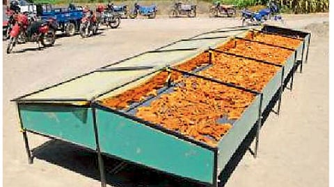 सौर वाळवण यंत्र (सोलर ड्रायर)